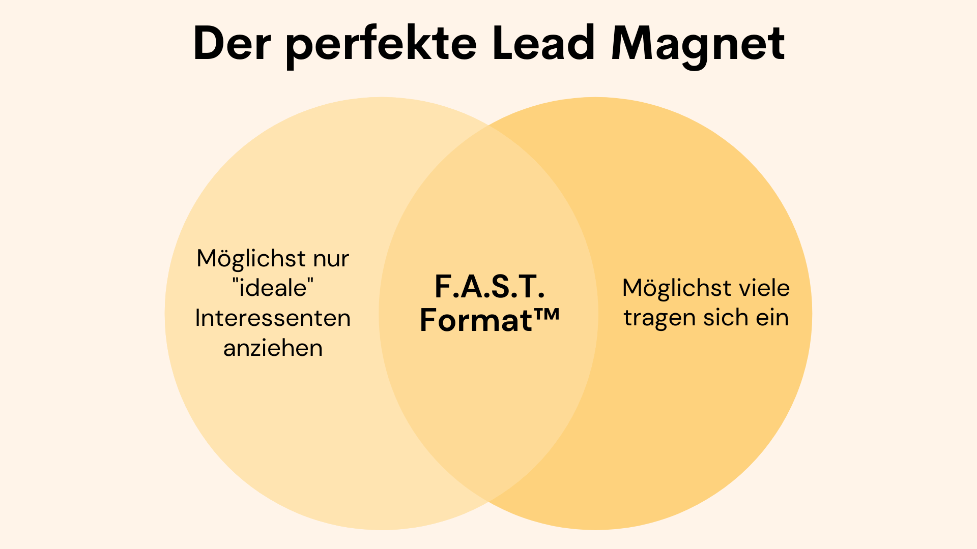 Diagramm zeigt den Aufbau des perfekten Lead Magneten
